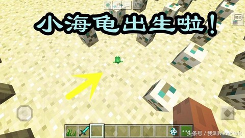 我的世界海龟怎么驯服